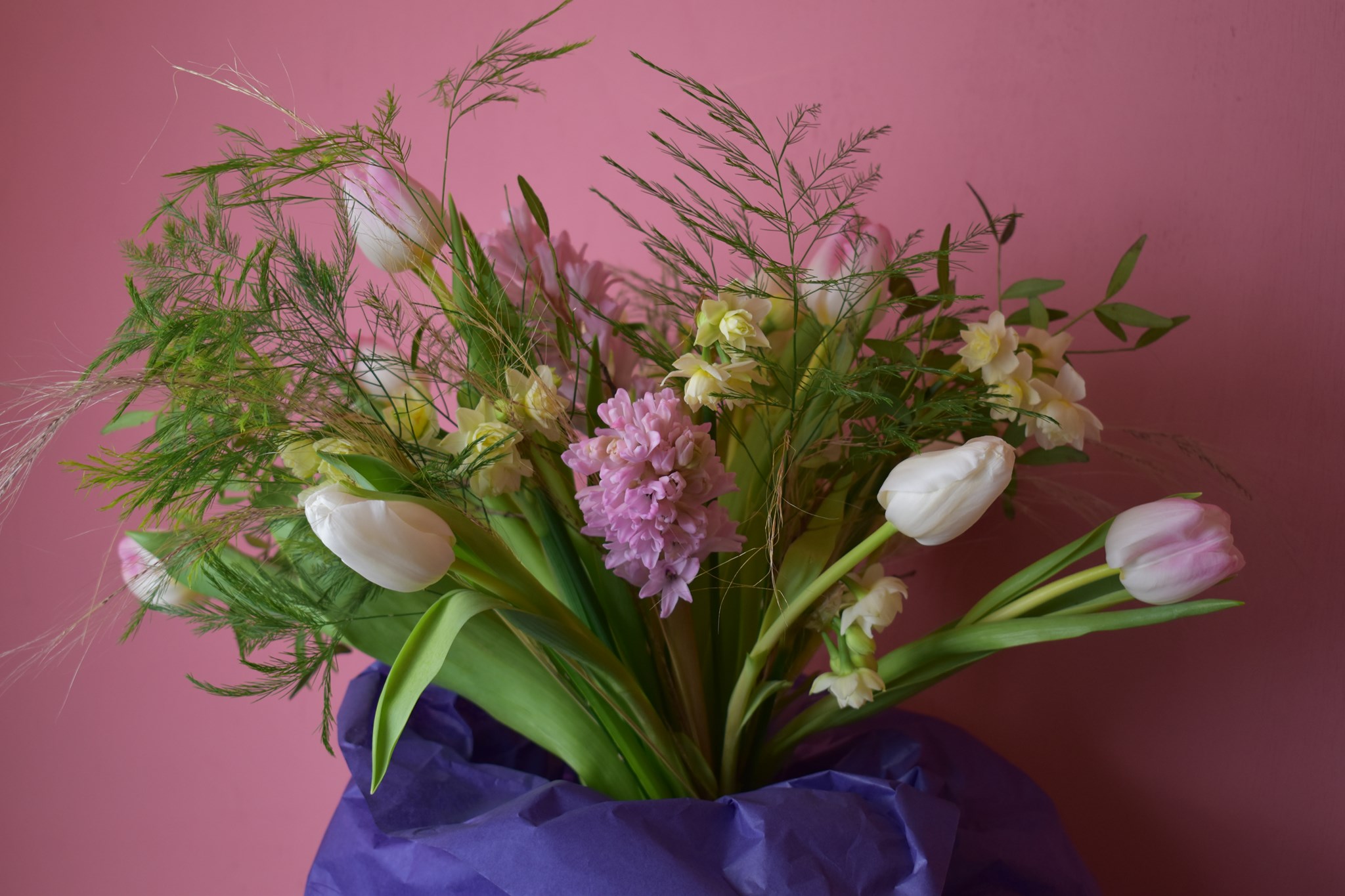 Spring bouquet of tulips, hyacinths, and fern fronds wrapped in blue tissue paper against a pink wall